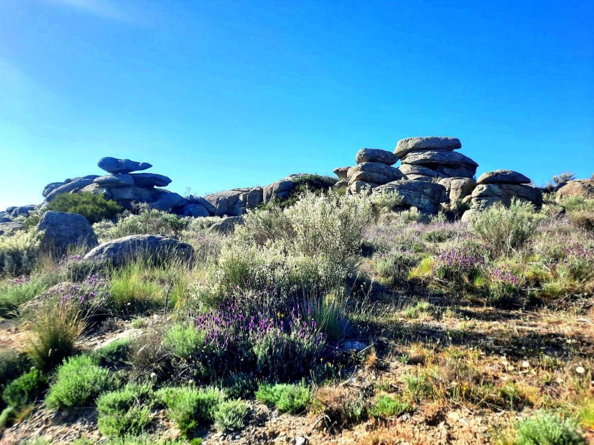 Navaquesera Mirador De Gredos Ávila Dış mekan fotoğraf